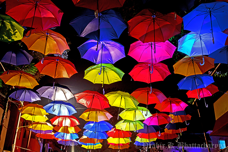 Colors