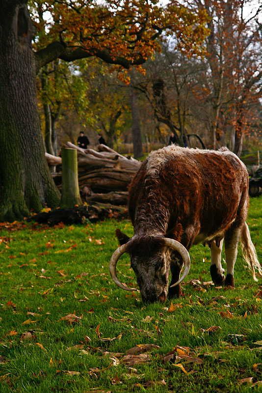 PBase Oxford Meet 7th November 2010