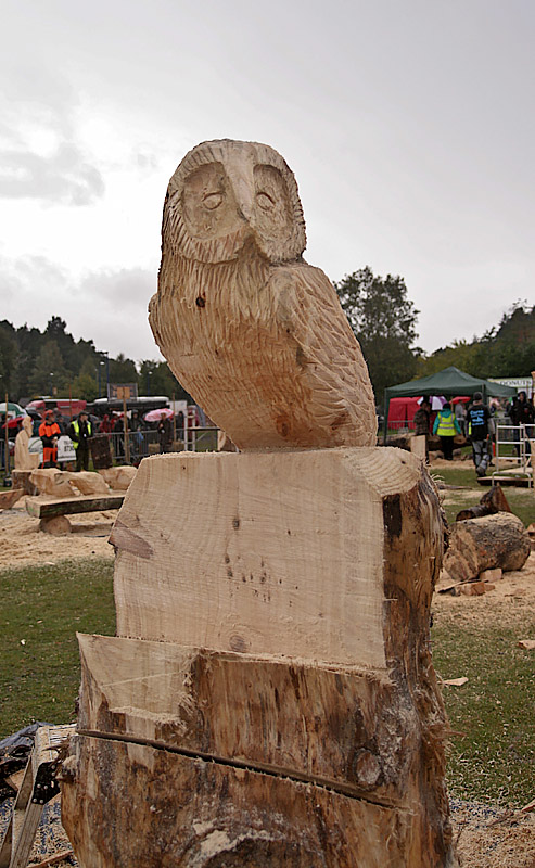 Carve Carrbridge 30th August 2014 063