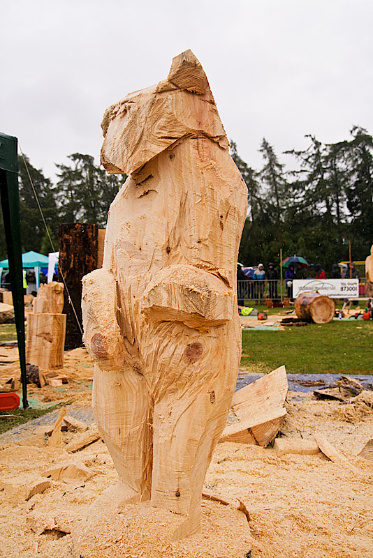 Carve Carrbridge 30th August 2014 069