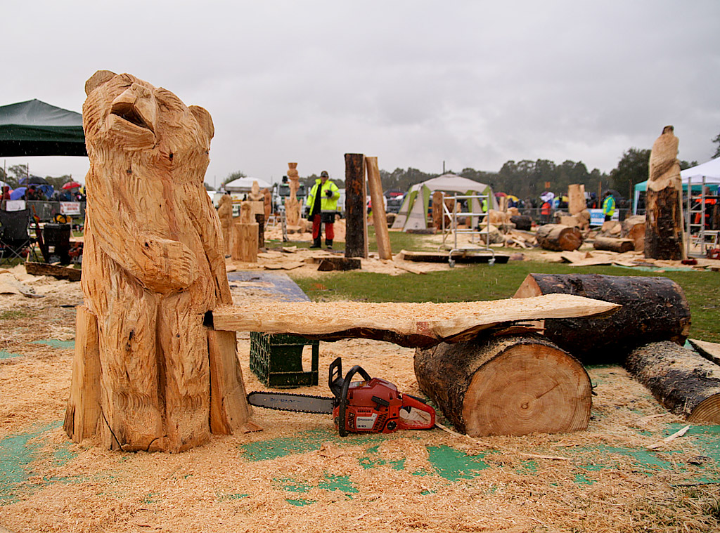 Carve Carrbridge 30th August 2014 070