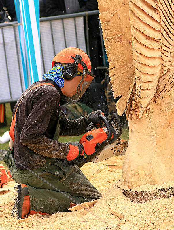 Carve Carrbridge 30th August 2014 116