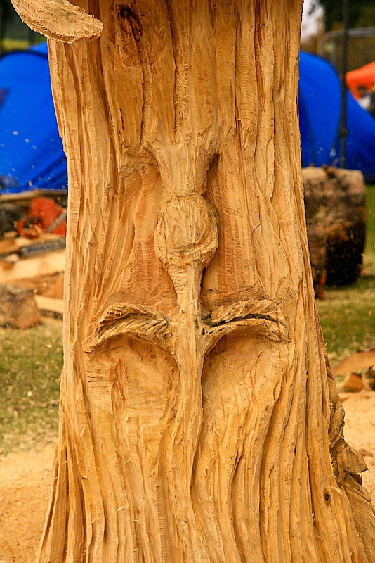 Carve Carrbridge 30th August 2014 149