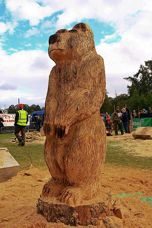 Carve Carrbridge 30th August 2014 189