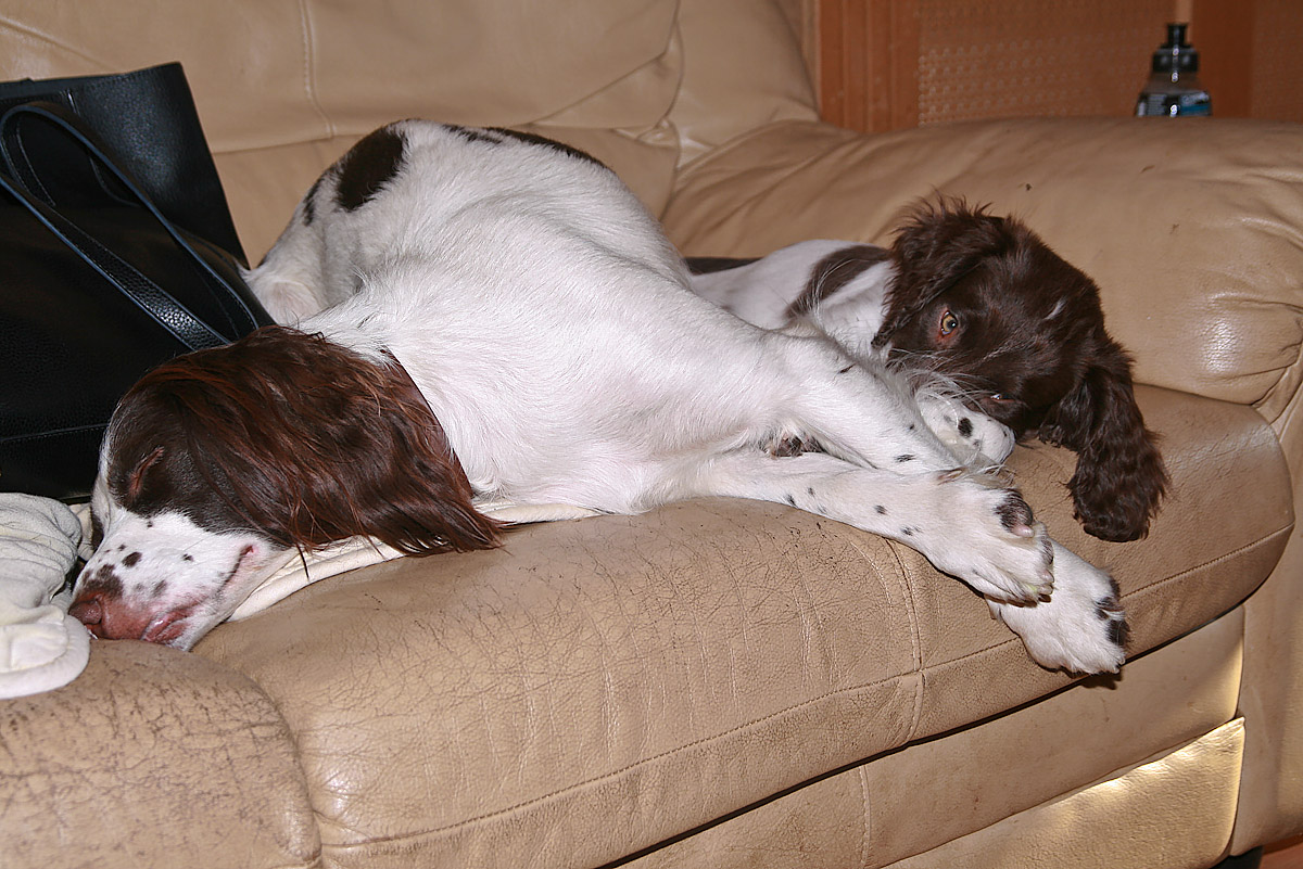 Eilein and Prue 
