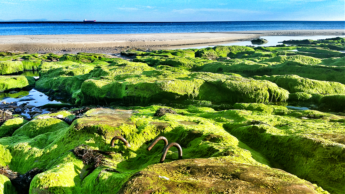 Nairn Beach 