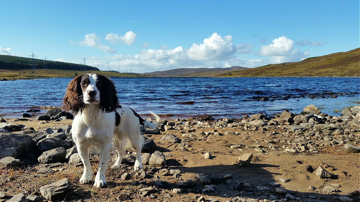 Eilein at Loch Buidhe 