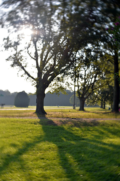 HOT and HUMID morning.