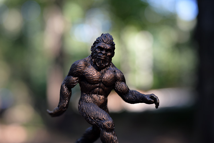 Bigfoot in my yard!