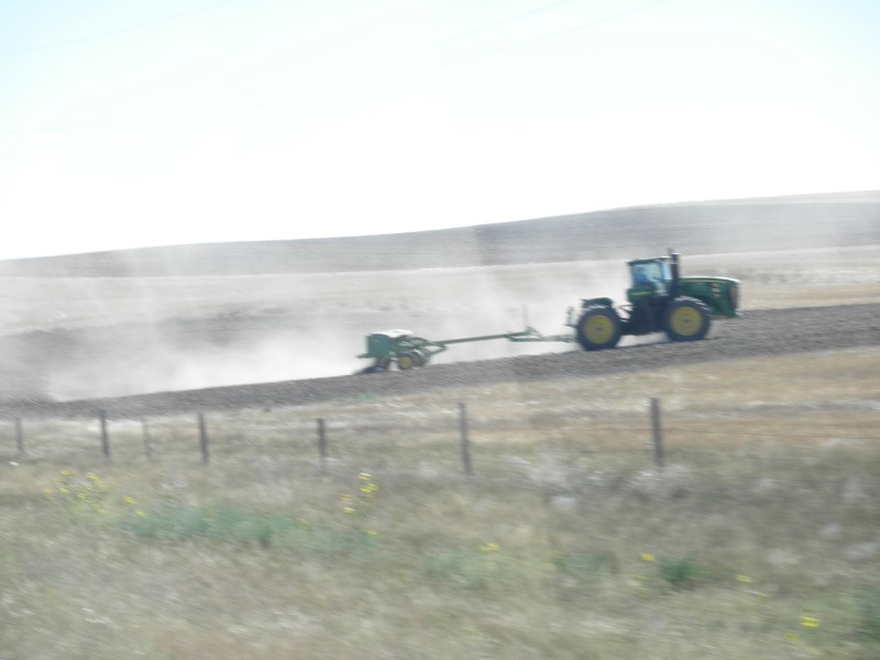 P8260200 (Custom).JPG