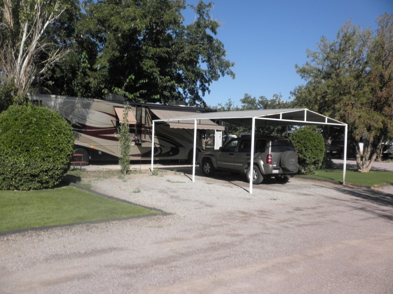 P9190262 (Custom).JPG