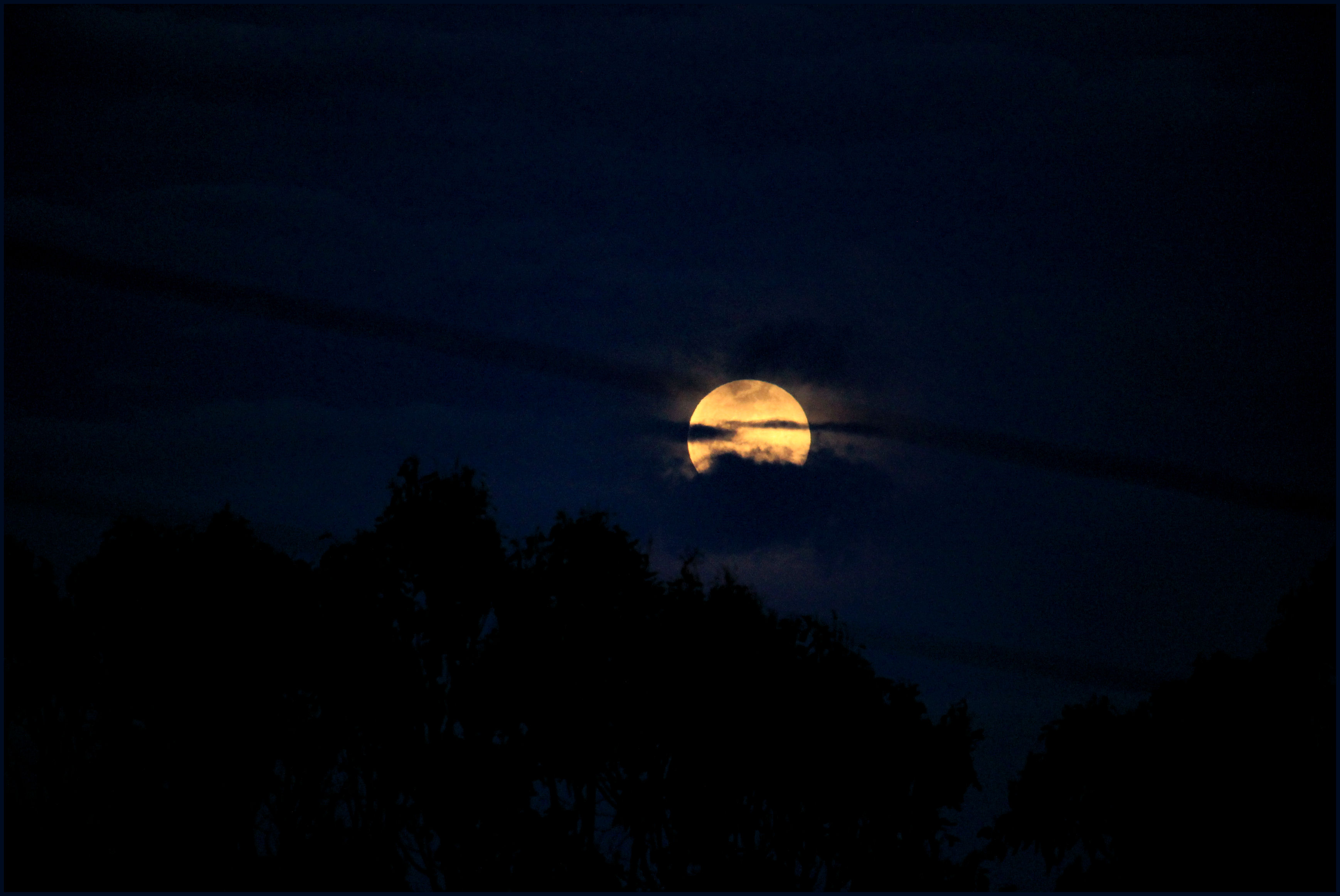 Earth Day moonrise.jpg