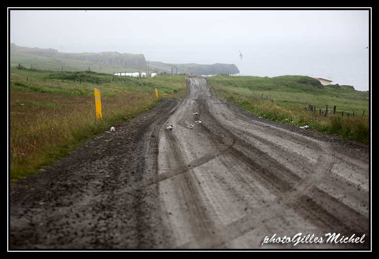 isl2013-Vatnsnes0123.jpg