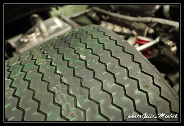 LMC2014paddock-0103.jpg