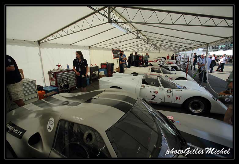 LMC2014paddock-0119.jpg