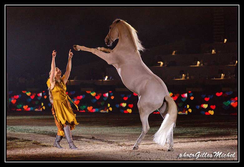 Cheval2014-0324a.jpg