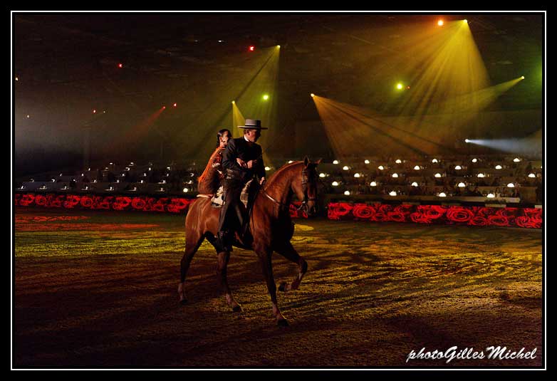 Cheval2014-0332a.jpg