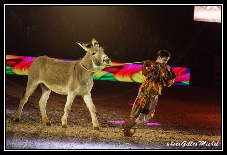 Cheval2014-0420a.jpg