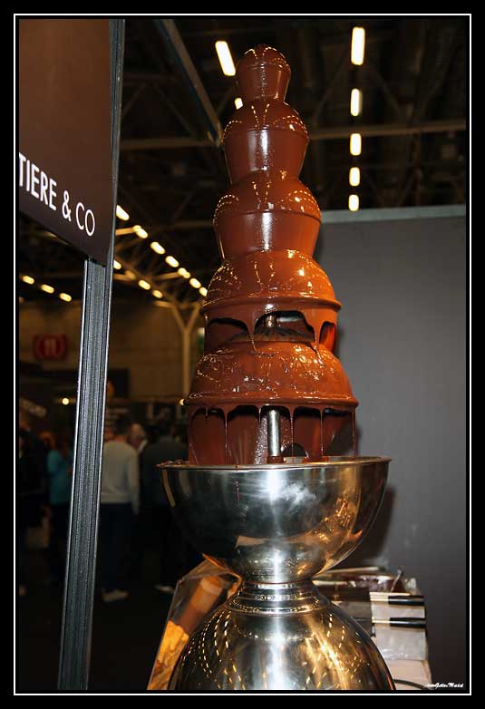 Chocolat-2015-483.jpg