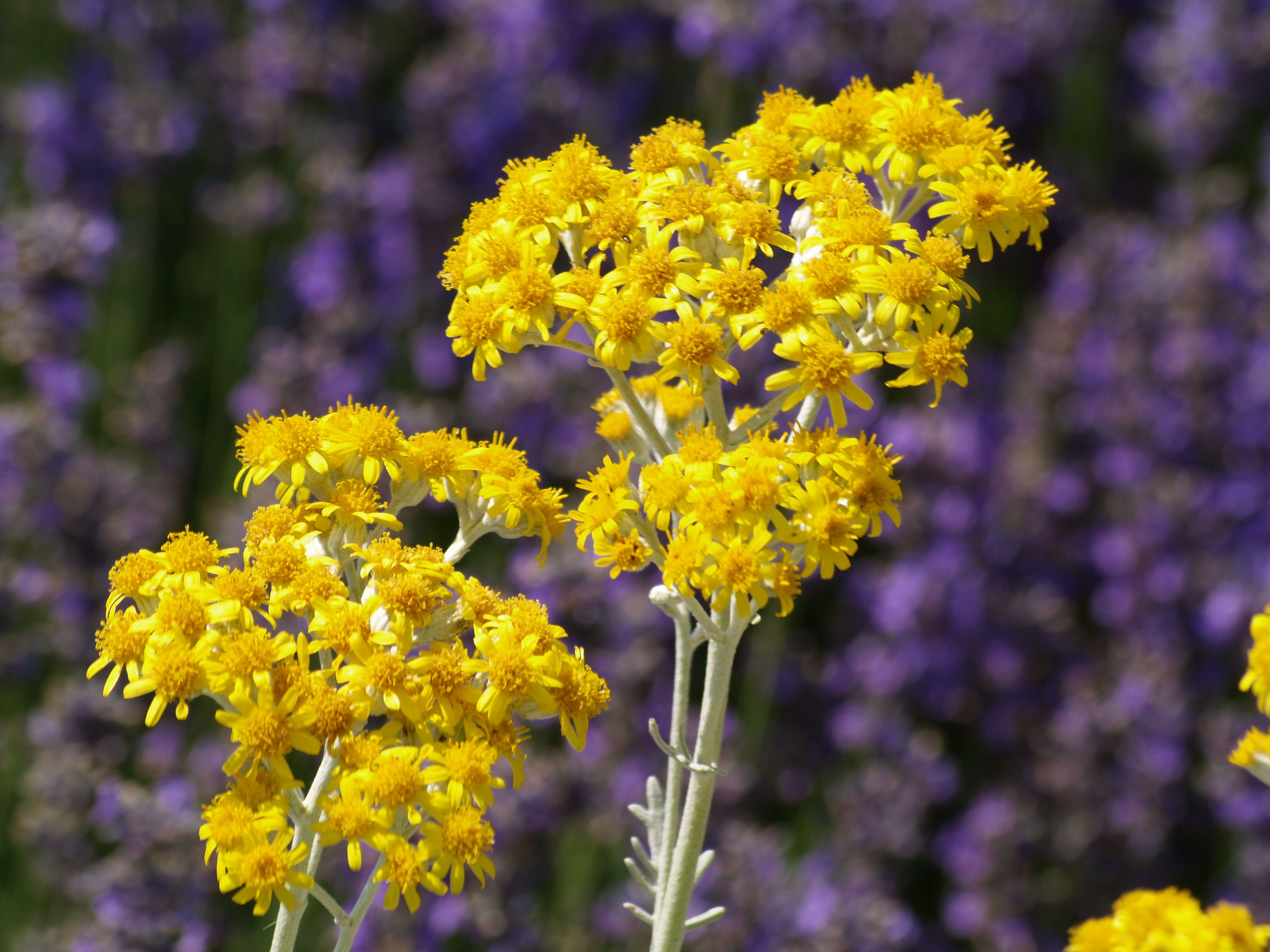 Selection_001_0175_MKB_Fotopaly.JPG