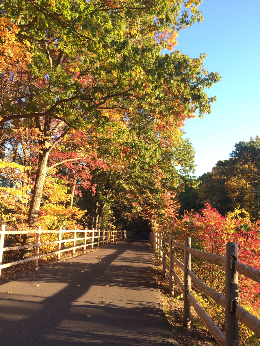 farmingtontrail.jpg