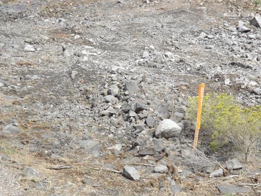 Where Pygmy Rabbits Used to Nest