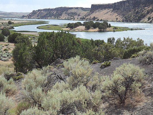 View over Island