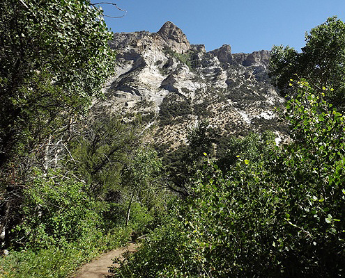 A Look Back Down the Trail