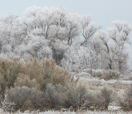 Chilly Times on Willow Bay