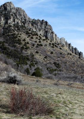 A Ridgetop of Rocks