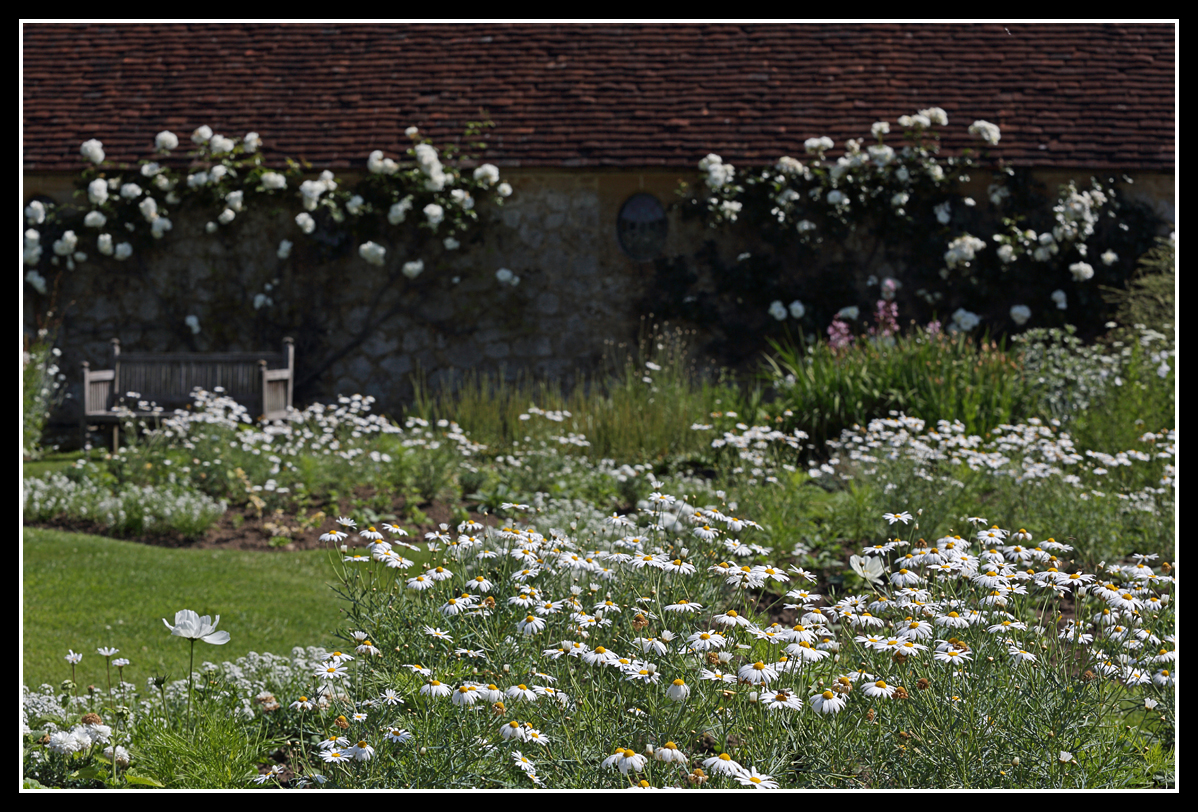 White Garden, Barrington Court