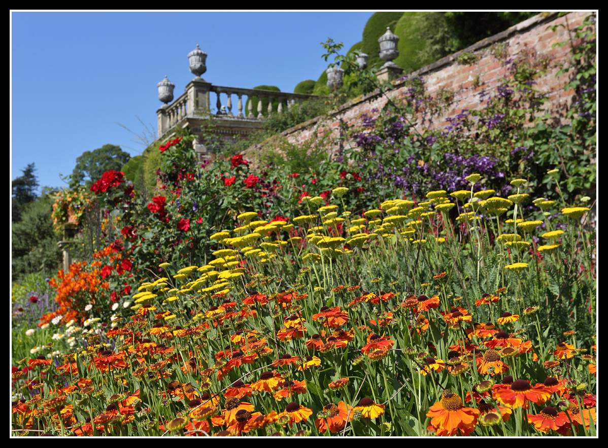 Powis Castle border 