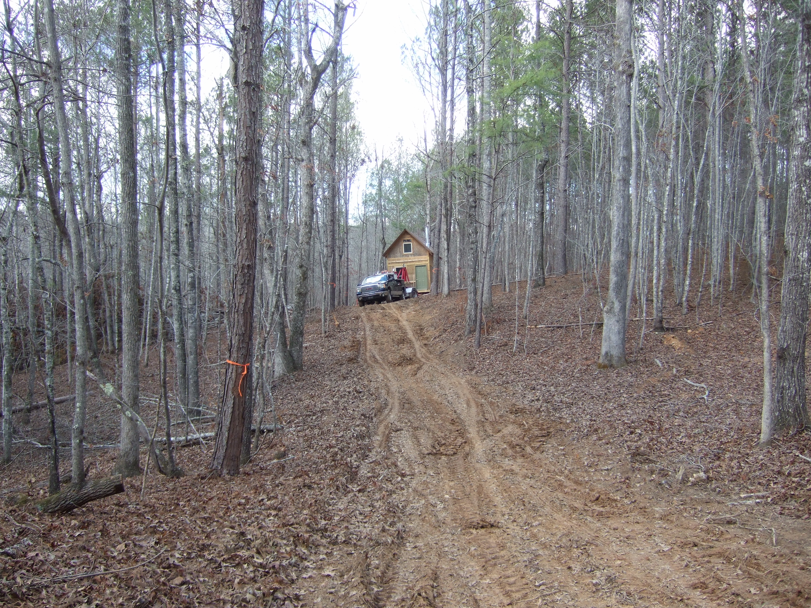 DSCF4453.JPG