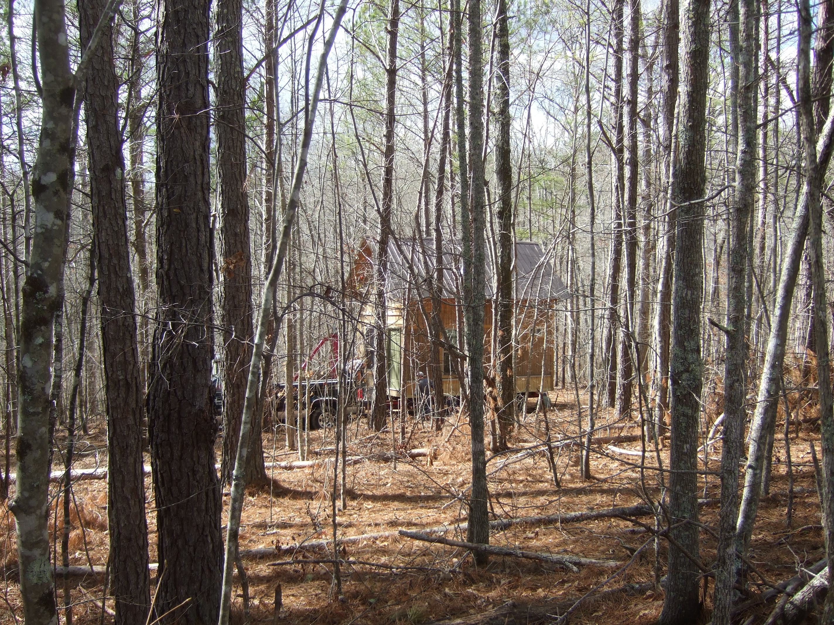 DSCF4455.JPG
