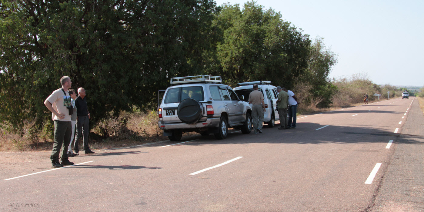Rest stop between Antsirabe and Morondava