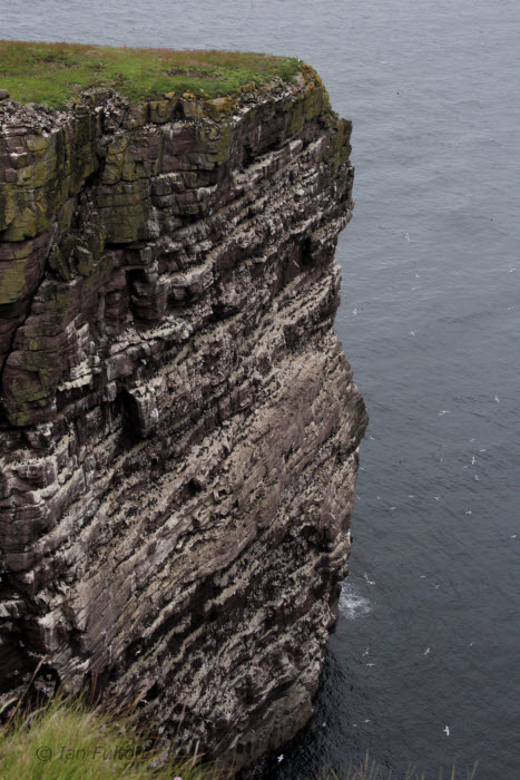 The sea cliffs on Handa Island