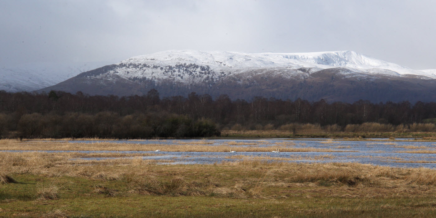 Wards Pond wth Creachan Hill behind