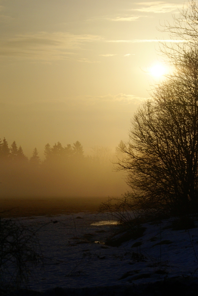 DSC01530.JPG