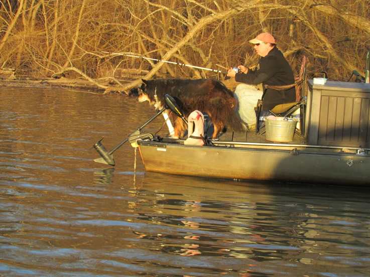 Fishing in the cove