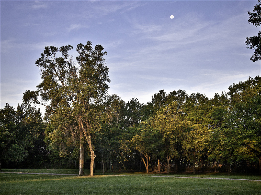 First light