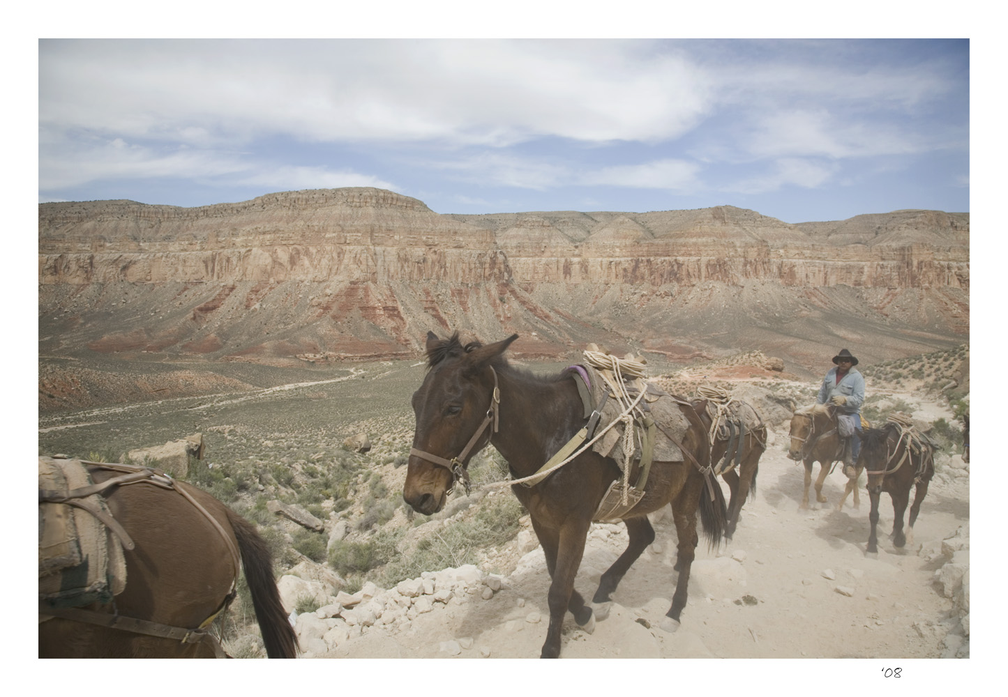 Dusty trail