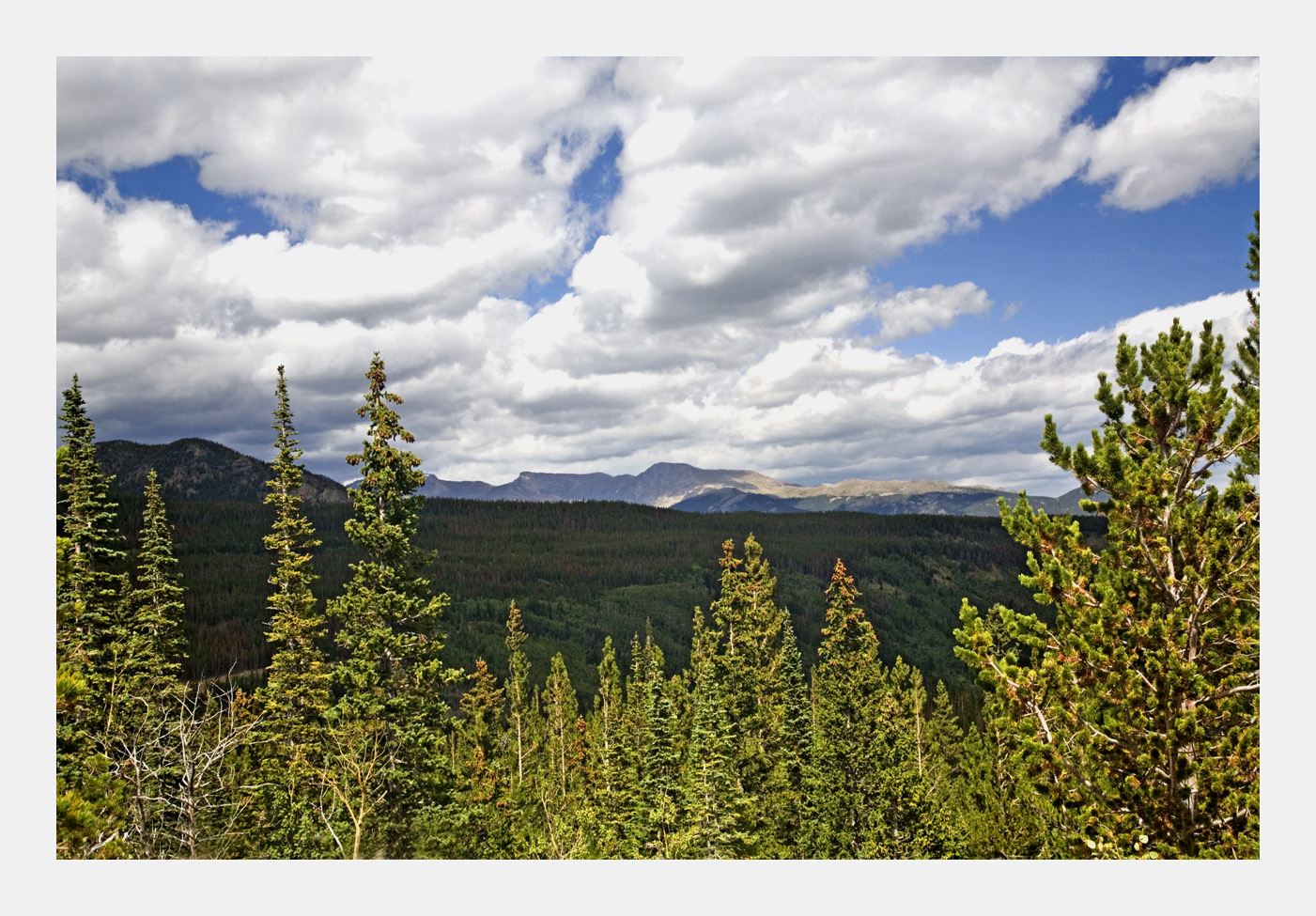 Mountain view