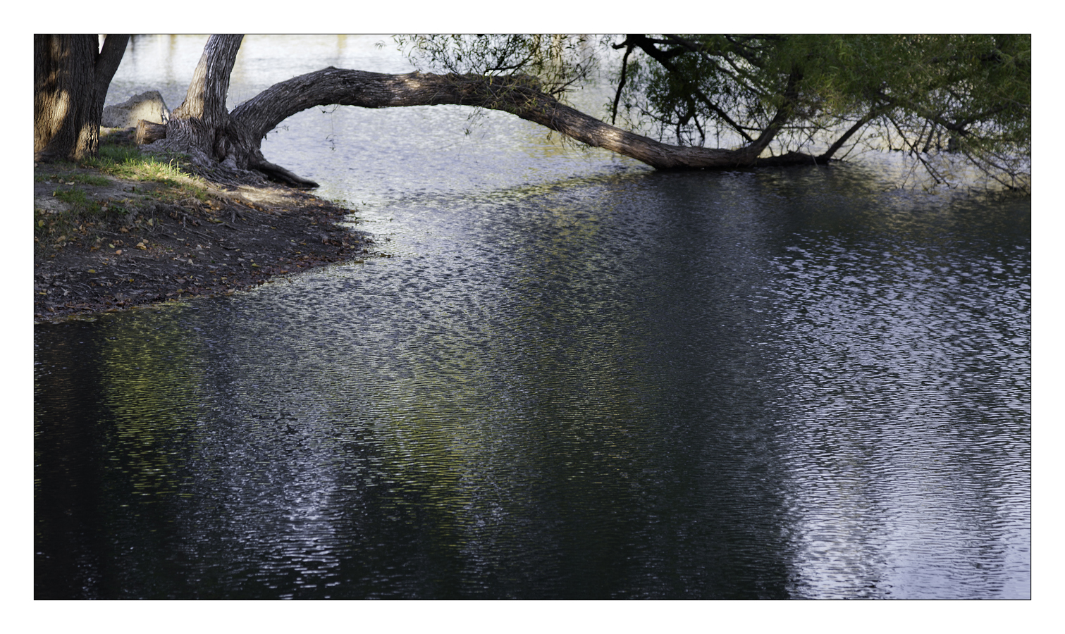 Bent Limb