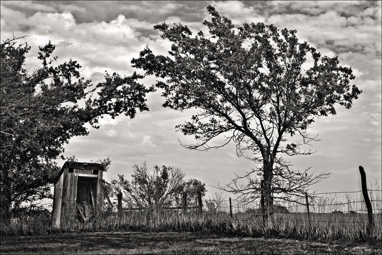 Abandoned Outhouse