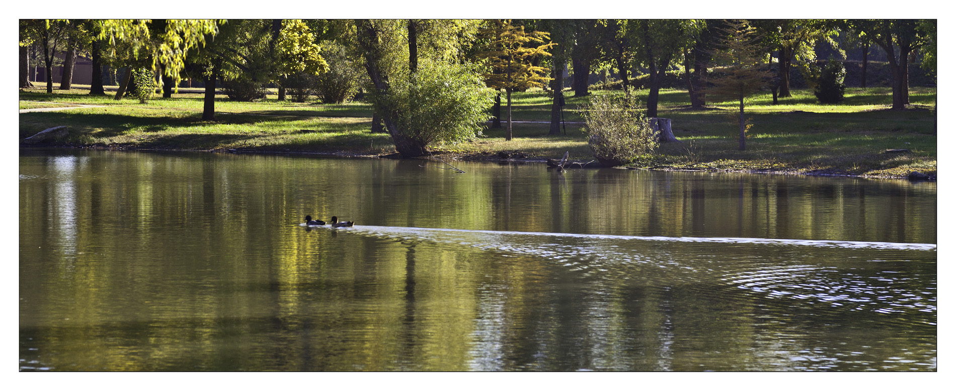 Paddling pair