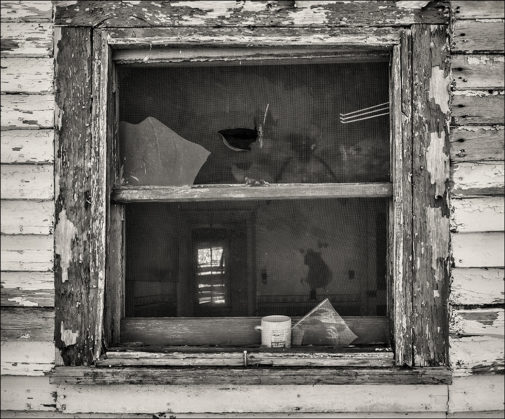 Kitchen  Window