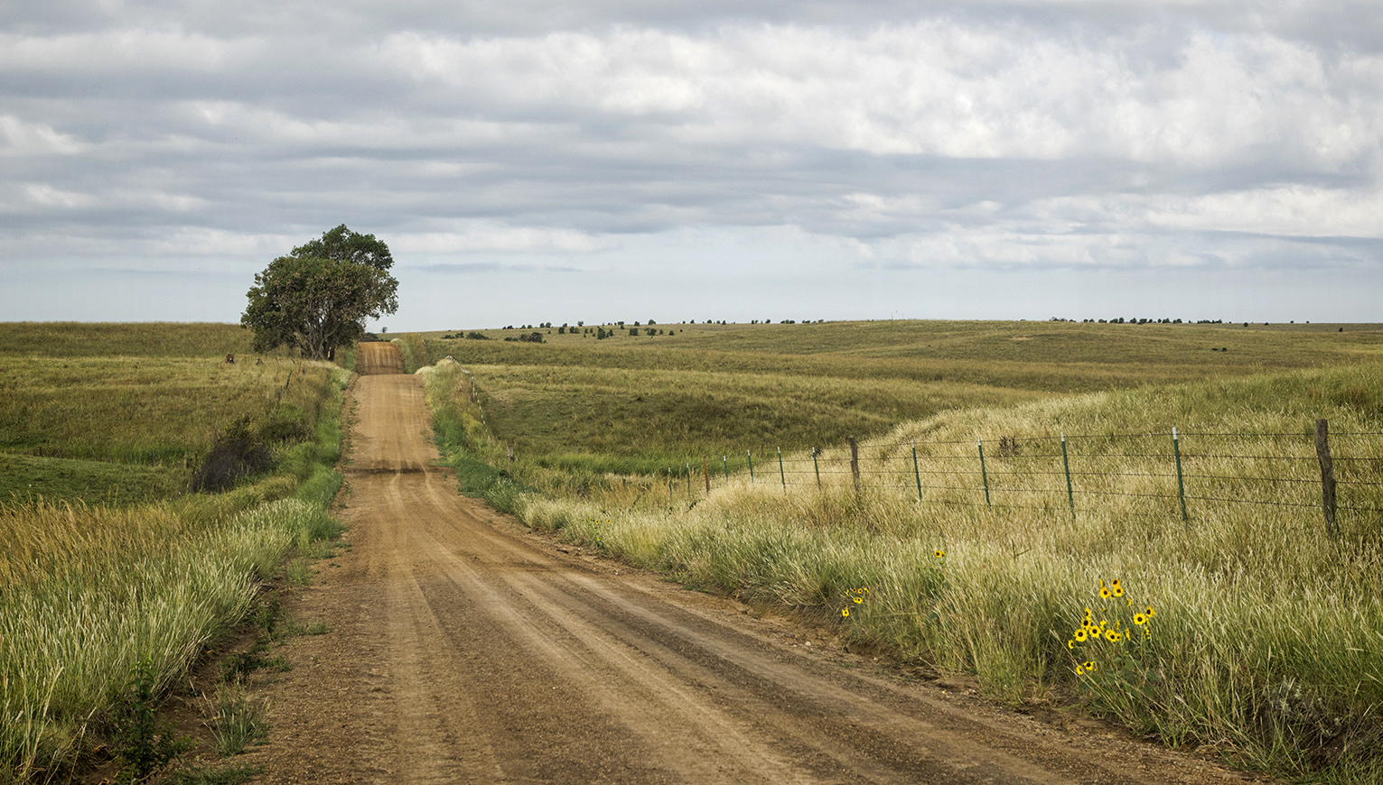 Country Road