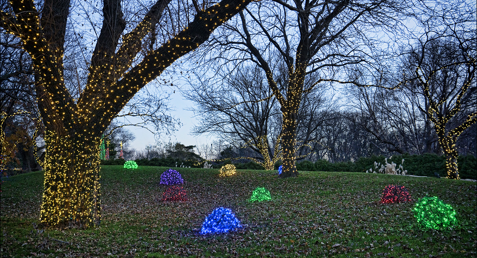 Illuminations at Botanica