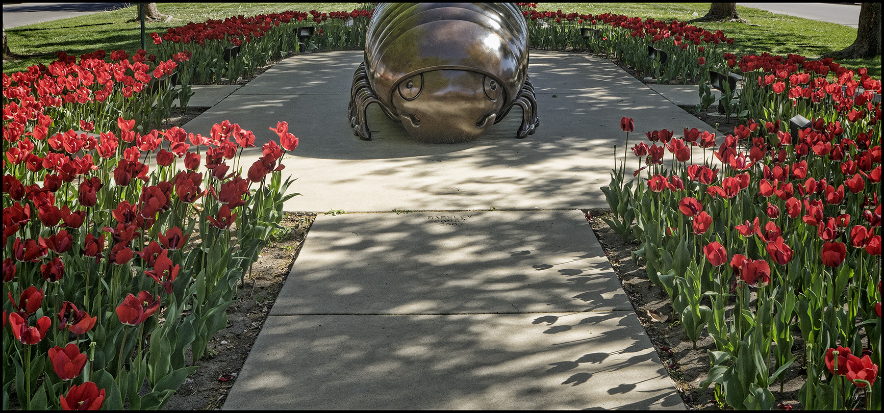 Dont They Know That Millipedes are Allergic to Tulips