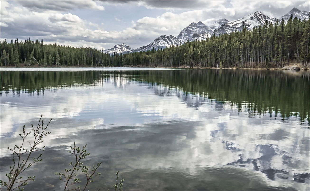 Reflected Beauty, Herbert Lake